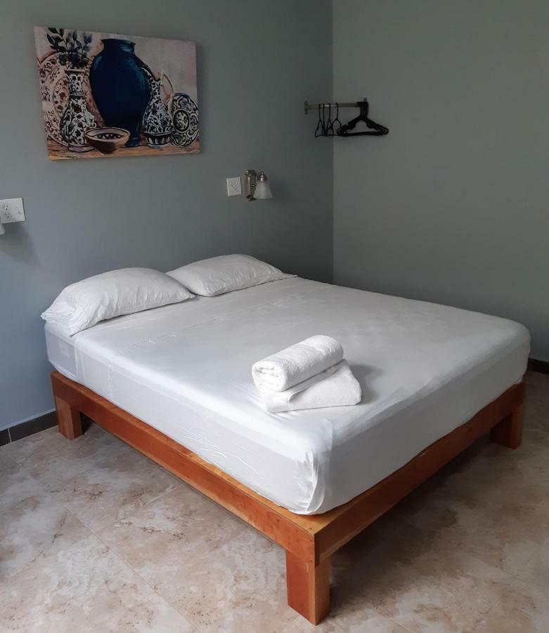 Maya Bella Downtown Hotel 산 이그나시오 외부 사진